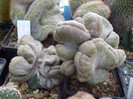 DSCF4139