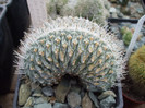 DSCF4141