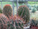 DSCF4147