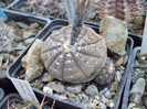 DSCF4156