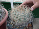 DSCF4159