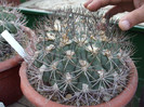 DSCF4160