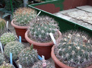 DSCF4161