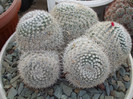 DSCF4173