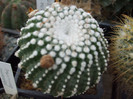 DSCF4190