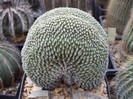DSCF4194