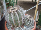 DSCF4197