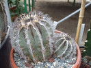 DSCF4198