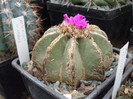 DSCF4222