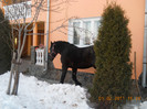 DSCN0453