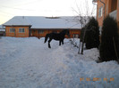 DSCN0454