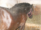 DSCN0462