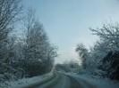 poze 290