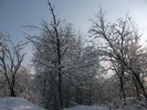 poze 294