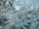 poze 367