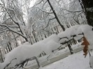 poze 640