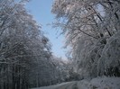 poze 674