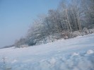 poze 732
