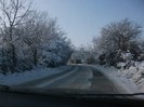 poze 736