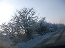 poze 740