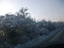 poze 741