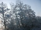 poze 745