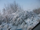 poze 755