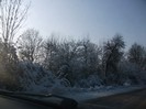 poze 762