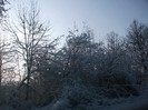 poze 763