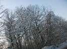 poze 768