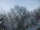 poze 769