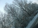 poze 770