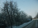 poze 772