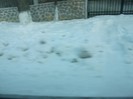 poze 773