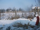 poze 775