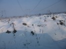 poze 786
