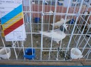 P1290236