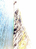 08082010462