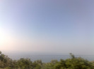 04082010393