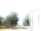 04082010394
