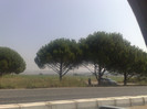 04082010398