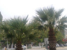 04082010404