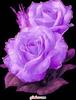 images (16)