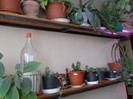 DSCN2286