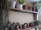 DSCN2288