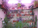 DSCN2291
