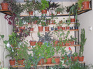 DSCN2292