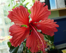 P1370057