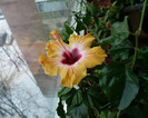 P1370059