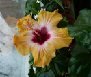 P1370060